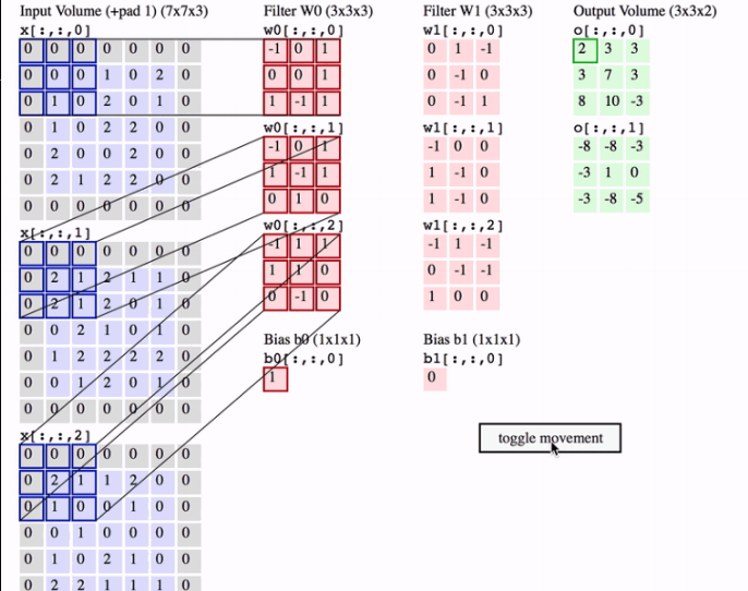 Convolutional Neural Network